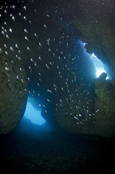 GWD Saintes grotte zozio 27 avril 2014_063.jpg